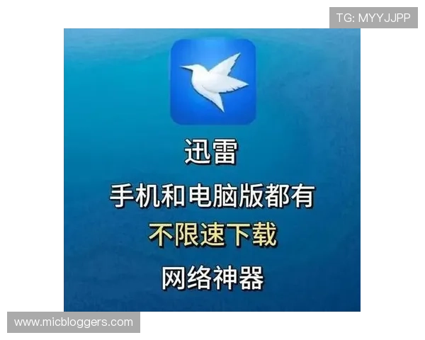 蓝盾娱乐城注册流程与新手指南快速入门轻松开启游戏之旅
